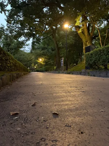 夜の帳が降りる静かな遊歩道