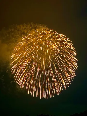 夜空を彩る黄金の華