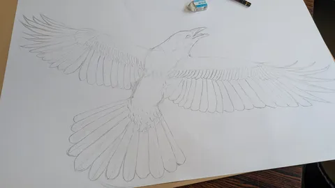大空を切り裂く翼の舞