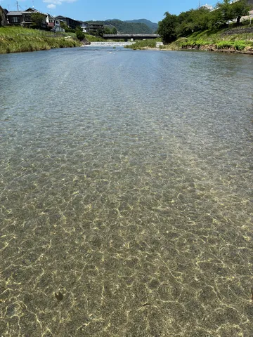 水面がきらめく清流の景色