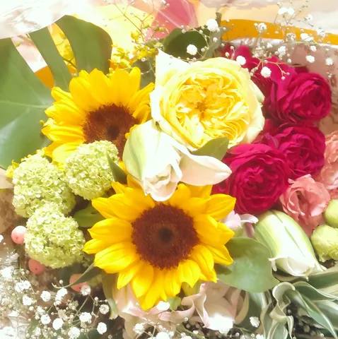 太陽と薔薇、夏の輝き