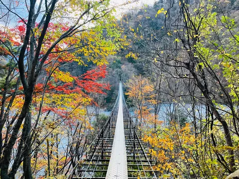 秋彩を繋ぐ橋