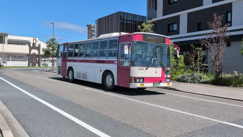 街角に浮かぶピンクの旅路