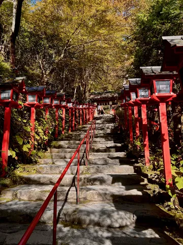 どこまで続く？赤提灯の道