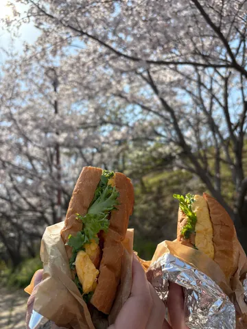 桜とエッグサンドの春景色