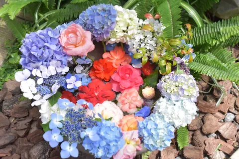 水面に浮かぶ、彩り豊かな花々の輪