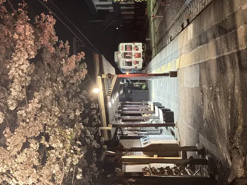 灯りに浮かぶ駅の夜桜