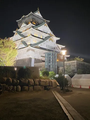 夜空に浮かぶ白亜の天守閣