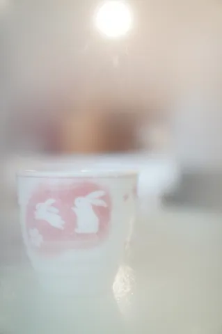 柔らかな光とウサギの器