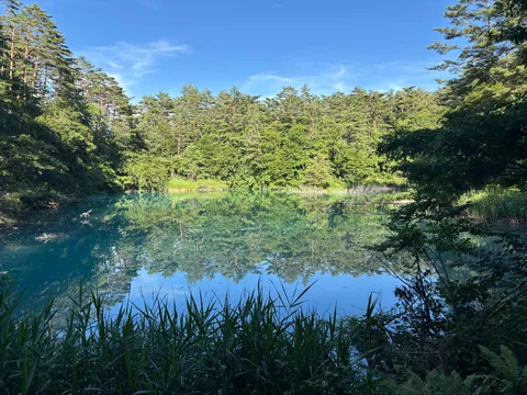 森に抱かれた瑠璃色の水面