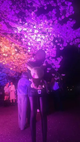 夜桜と光の囁き
