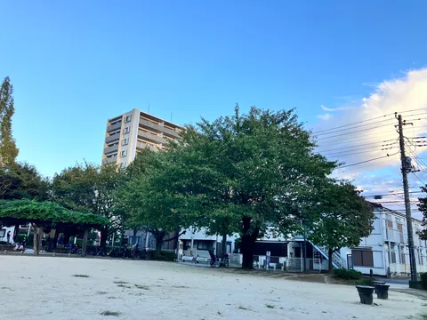 風が通る街の夕暮れ公園