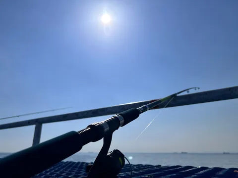 太陽と海を結ぶ釣り糸