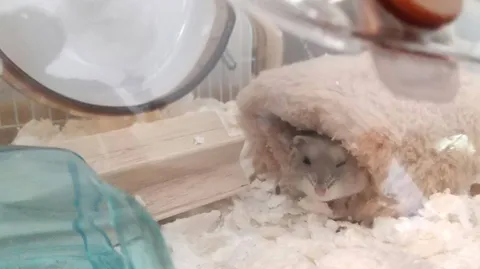 おうちでまったりタイム