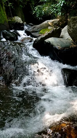 岩間を勢いよく流れる水