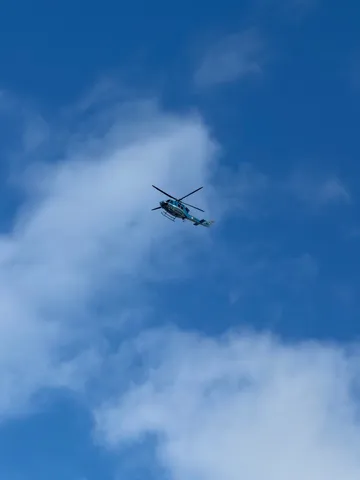 青空に浮かぶ孤高の翼