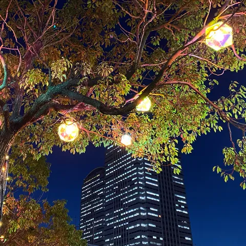 夜景を彩る木の灯り