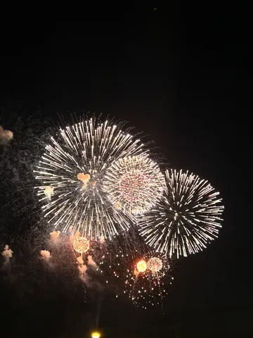 夜空を彩る光の芸術