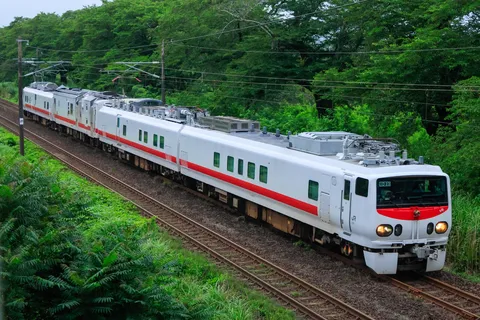 緑濃い森を駆け抜ける赤帯の列車