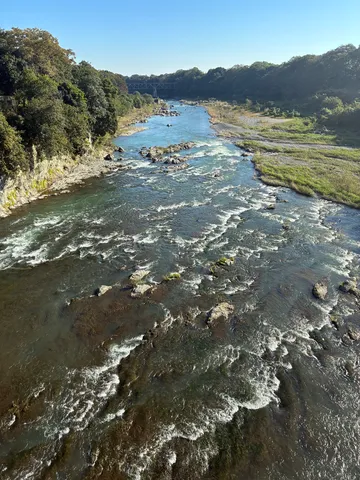 流れと木陰の夏景色