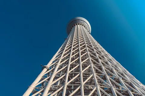 天空へ誘う、白き格子