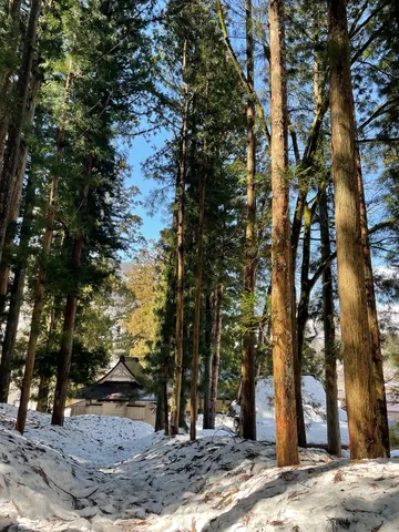 冬の静寂、鳥居への道