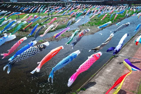 川に舞う、彩り豊かな鯉のぼり