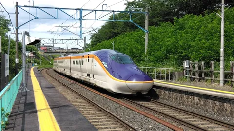 紫と白の流線形、新幹線の勇姿