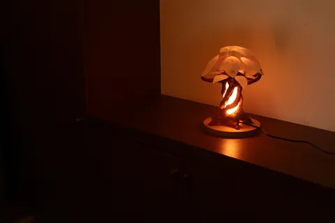 幻想的な灯りの木