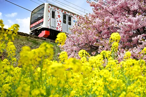 花と鉄の春の走行