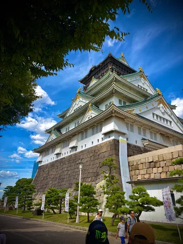 空を仰ぐ、緑と白のコントラスト