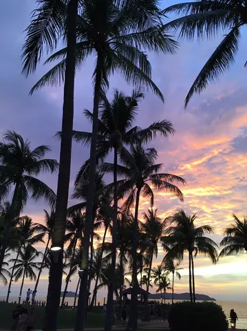 燃えるような夕焼け空とヤシの木々
