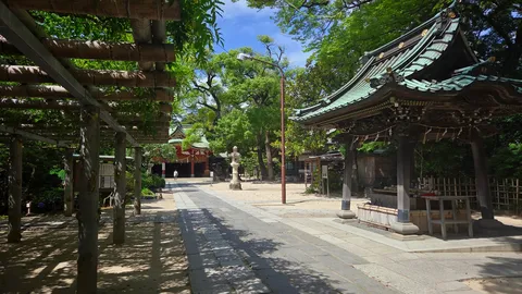 緑映える神聖な参道