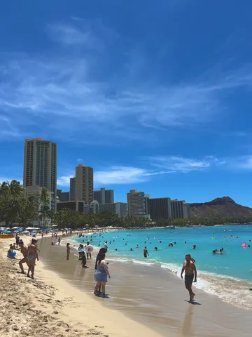碧い水面に映る、楽園の息吹