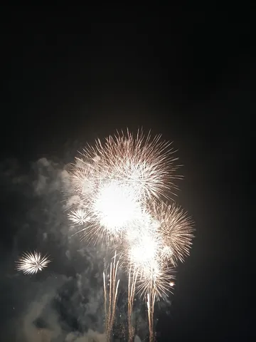 夜空に咲く光の花束