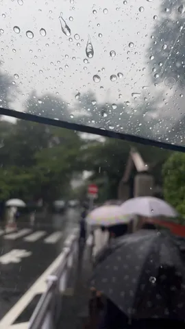 雨粒に映る、水滴の宇宙