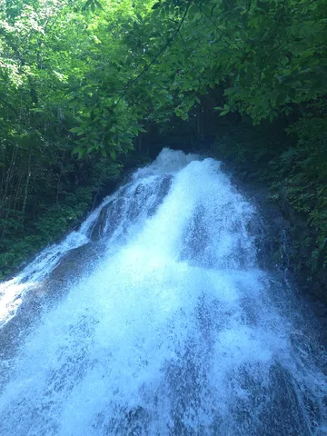 緑に抱かれし滝の激流