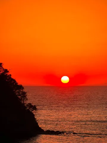 燃える海と空、緑のシルエット