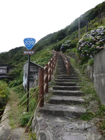 緑と紫陽花が彩る階段国道