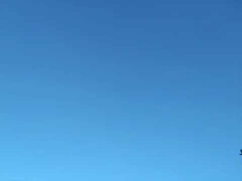 どこまでも青い空