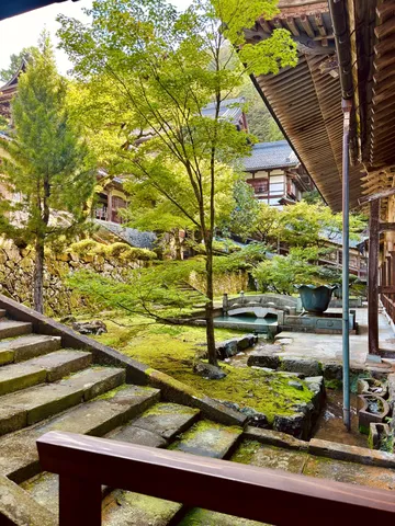 苔と水音の寺時間