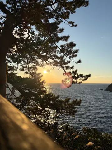 木漏れ日と海辺の夕暮れ