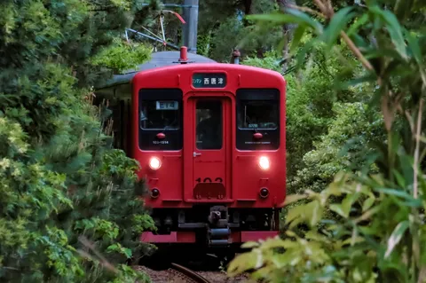 木立を抜けて現れる赤い列車
