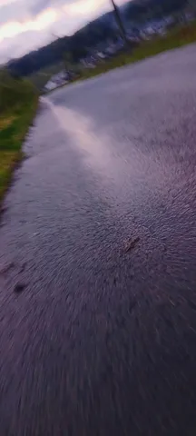 雨上がりの静かな道