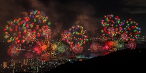 夜空を彩る、色彩の祭典
