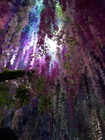 まるで花のアート！天井から降り注ぐ美しさ
