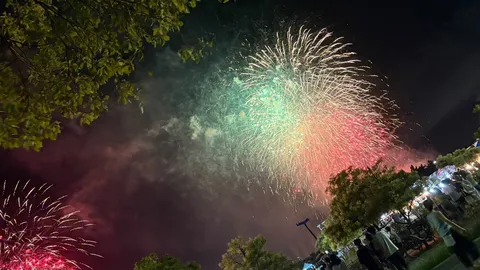 夜空を彩る、夏の光の饗宴