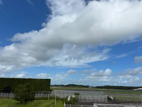 緑の壁と広がる空