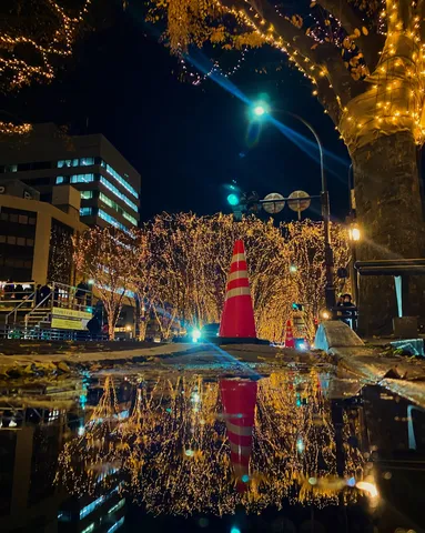 水面に映る黄金の夢