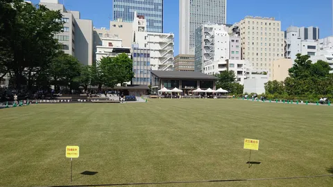 都会の真ん中、開放的な芝生広場
